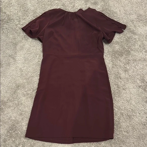 Elegant Burgundy Dress - Picture 1 of 6